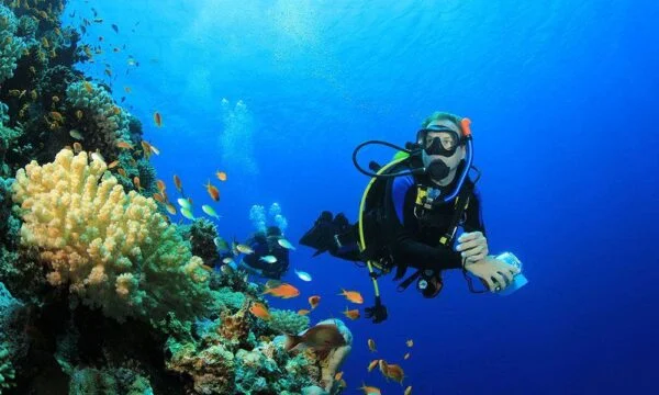 Diving In The Red Sea in Hurghada